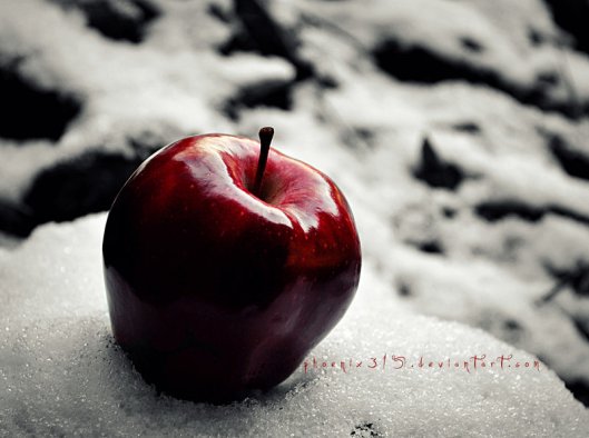 Red_Apple_in_the_White_Snow_by_Phoenix315